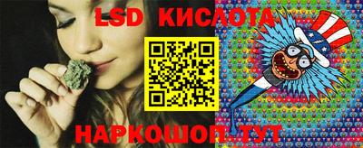 сатива Гатчина