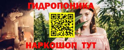 сатива Гатчина