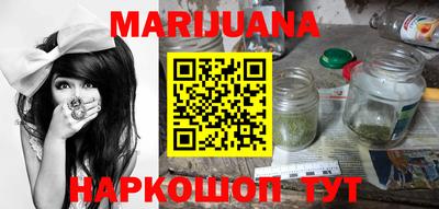 сатива Гатчина