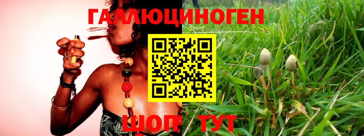 Псилоцибиновые грибы MAGIC MUSHROOMS Воткинск
